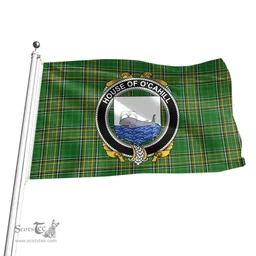 Irish House of O'CAHILL Coat of Arms Family Crest Ireland Flag Irish National Tartan Irish County Flag