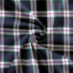 Scottish Baird Dress (Baines Dress) Clan Crest Tartan V neck Knitted Fleece Cardigans