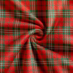 Scottish Scott Ancient Clan Crest Tartan V neck Knitted Fleece Cardigans