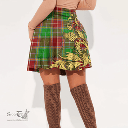 Scottish Baxter Modern Clan Crest Tartan Womens Mini Skirt Scotland Luxury Golden Thistle Skirt