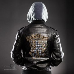 Scottish MacRae Dress Modern Clan Crest Scottish Legend Lion Tartan Leather Jacket