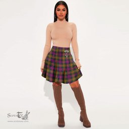 Scottish Carnegie Modern Clan Crest Tartan Womens Mini Skirt Tartan Plaid Skirt