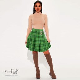 Scottish Galloway District Clan Crest Tartan Womens Mini Skirt Tartan Plaid Skirt