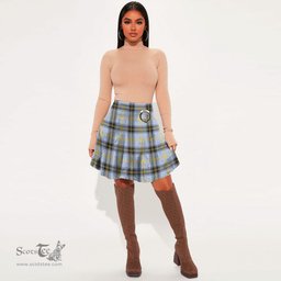 Scottish Bell of the Borders Clan Crest Tartan Womens Mini Skirt Tartan Plaid Skirt