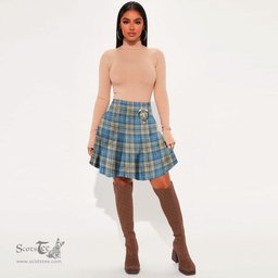 Scottish Napier Ancient Clan Crest Tartan Womens Mini Skirt Tartan Plaid Skirt