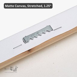 ScotsTee Shop Scottish Brisbane Clan Family Crest Scottish Flag Framed Canvas Print