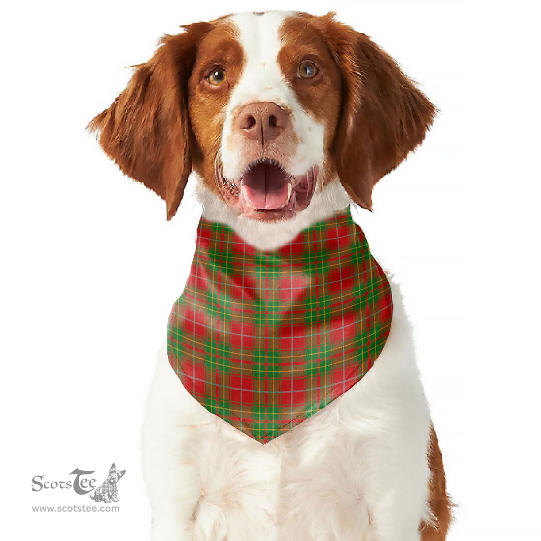 Scottish Burnett Ancient Clan Tartan Pets Scarf Pet Dog Bandana