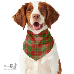 Scottish Burnett Ancient Clan Tartan Pets Scarf Pet Dog Bandana