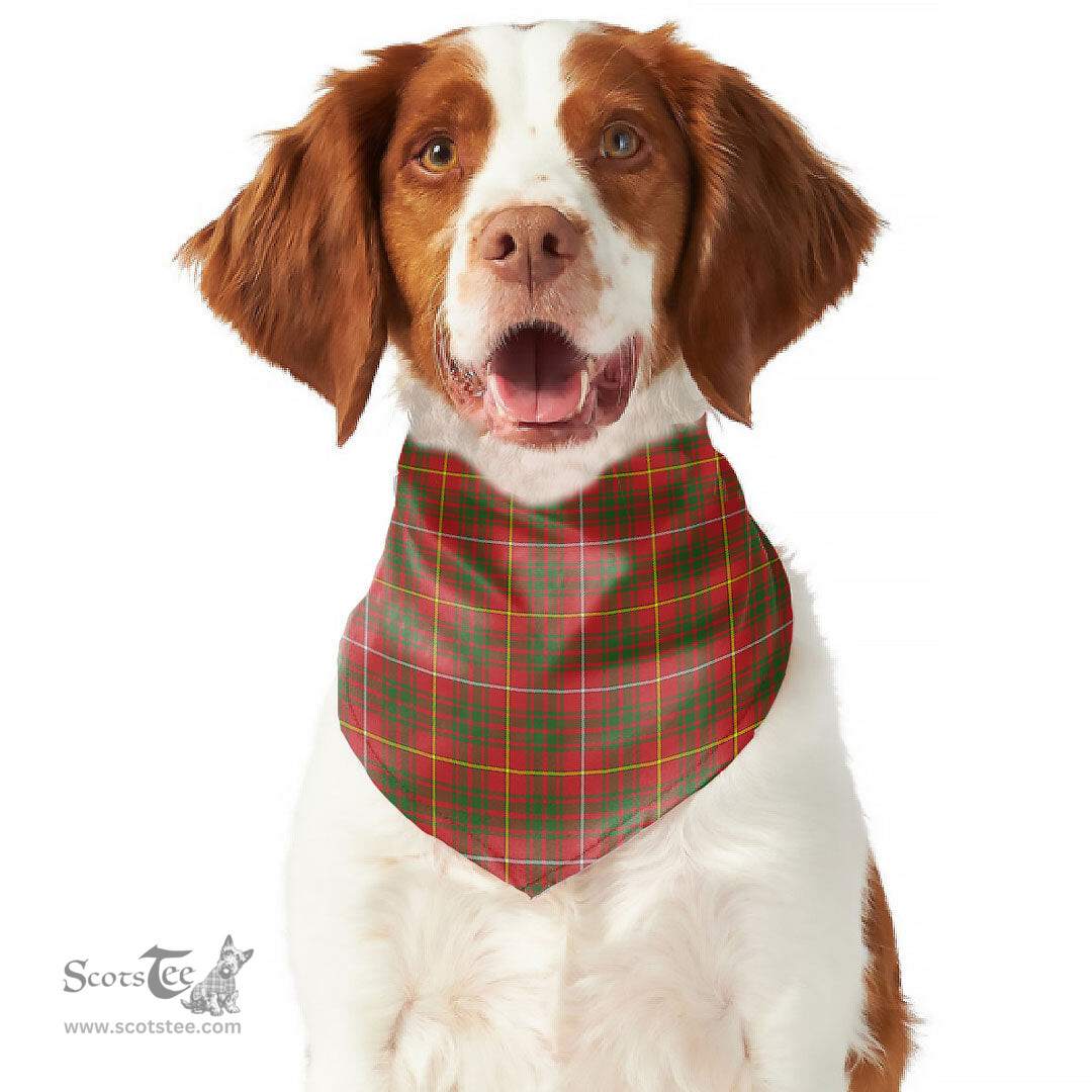Scottish Bruce Modern Clan Tartan Pets Scarf Pet Dog Bandana