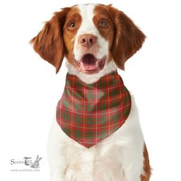 Scottish Bruce Modern Clan Tartan Pets Scarf Pet Dog Bandana