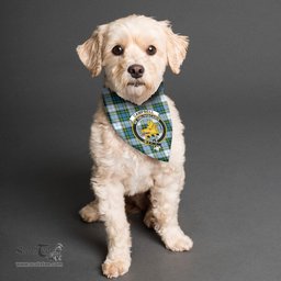 Scottish Campbell Dress Clan Crest Tartan Pets Scarf Pet Dog Bandana