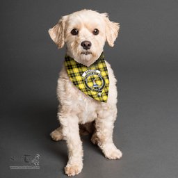 Scottish Barclay Dress Modern Clan Crest Tartan Pets Scarf Pet Dog Bandana
