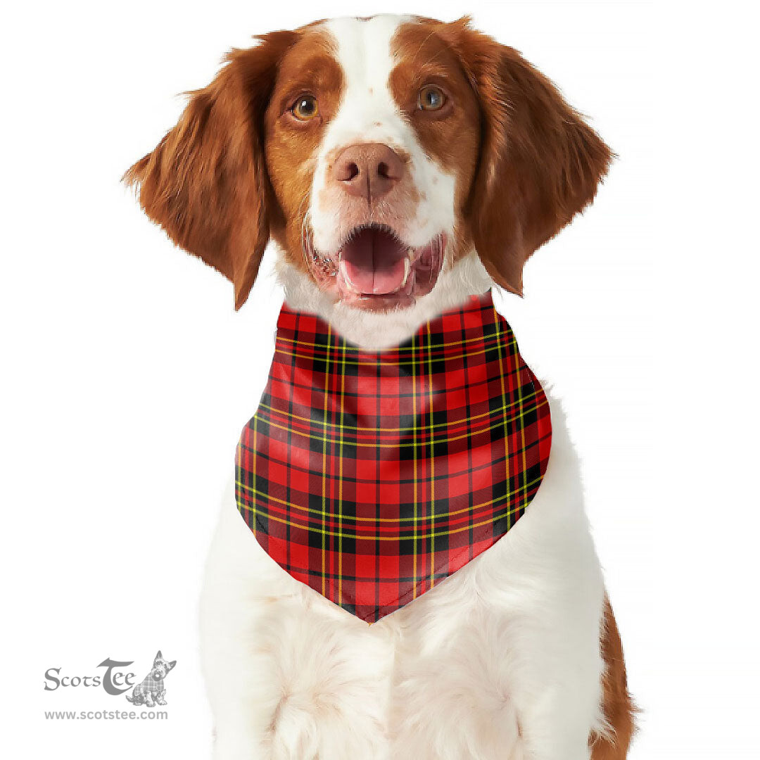 Scottish Brodie Modern Clan Tartan Pets Scarf Pet Dog Bandana