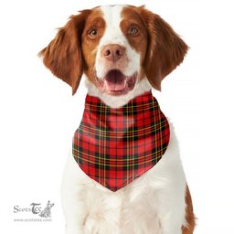 Scottish Brodie Modern Clan Tartan Pets Scarf Pet Dog Bandana