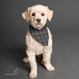 Scottish Ayrshire District Clan Tartan Pets Scarf Pet Dog Bandana