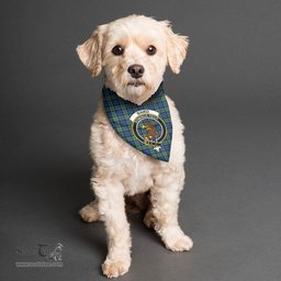 Scottish Baird Ancient Clan Crest Tartan Pets Scarf Pet Dog Bandana