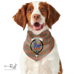 Scottish Bruce Ancient Clan Crest Tartan Pets Scarf Pet Dog Bandana