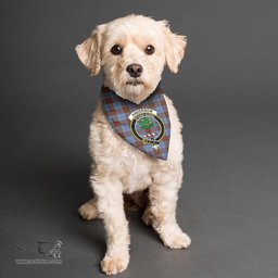 Scottish Anderson Modern Clan Crest Tartan Pets Scarf Pet Dog Bandana