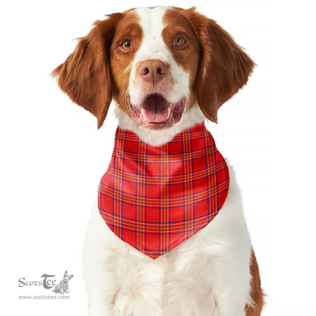 Scottish Burnett Modern Clan Tartan Pets Scarf Pet Dog Bandana