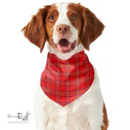 Scottish Burnett Modern Clan Tartan Pets Scarf Pet Dog Bandana