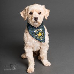 Scottish Campbell Argyll Ancient Clan Crest Tartan Pets Scarf Pet Dog Bandana