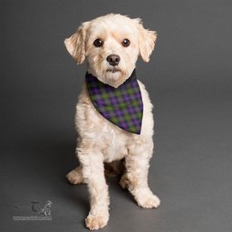 Scottish Cameron of Erracht Modern Clan Tartan Pets Scarf Pet Dog Bandana