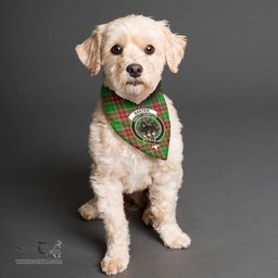 Scottish Baxter Modern Clan Crest Tartan Pets Scarf Pet Dog Bandana