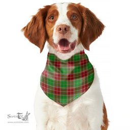 Scottish Baxter Modern Clan Tartan Pets Scarf Pet Dog Bandana