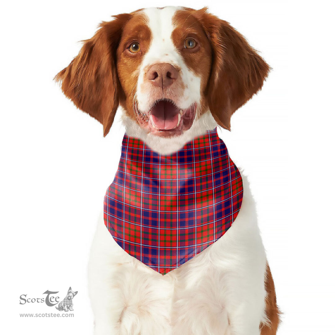 Scottish Cameron of Lochiel Modern Clan Tartan Pets Scarf Pet Dog Bandana