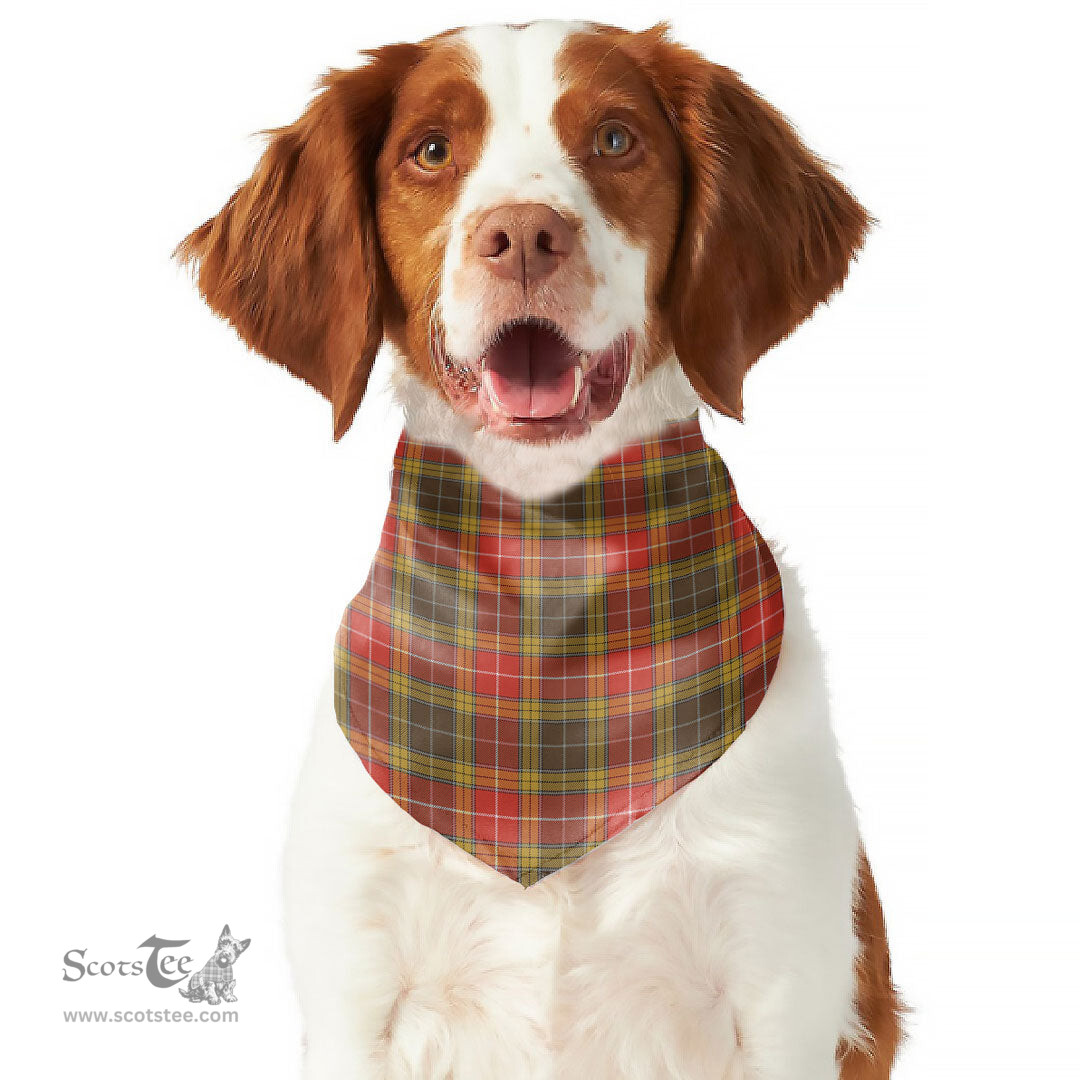 Scottish Buchanan Old Set Weathered Clan Tartan Pets Scarf Pet Dog Bandana