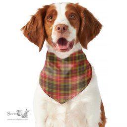 Scottish Buchanan Old Set Weathered Clan Tartan Pets Scarf Pet Dog Bandana