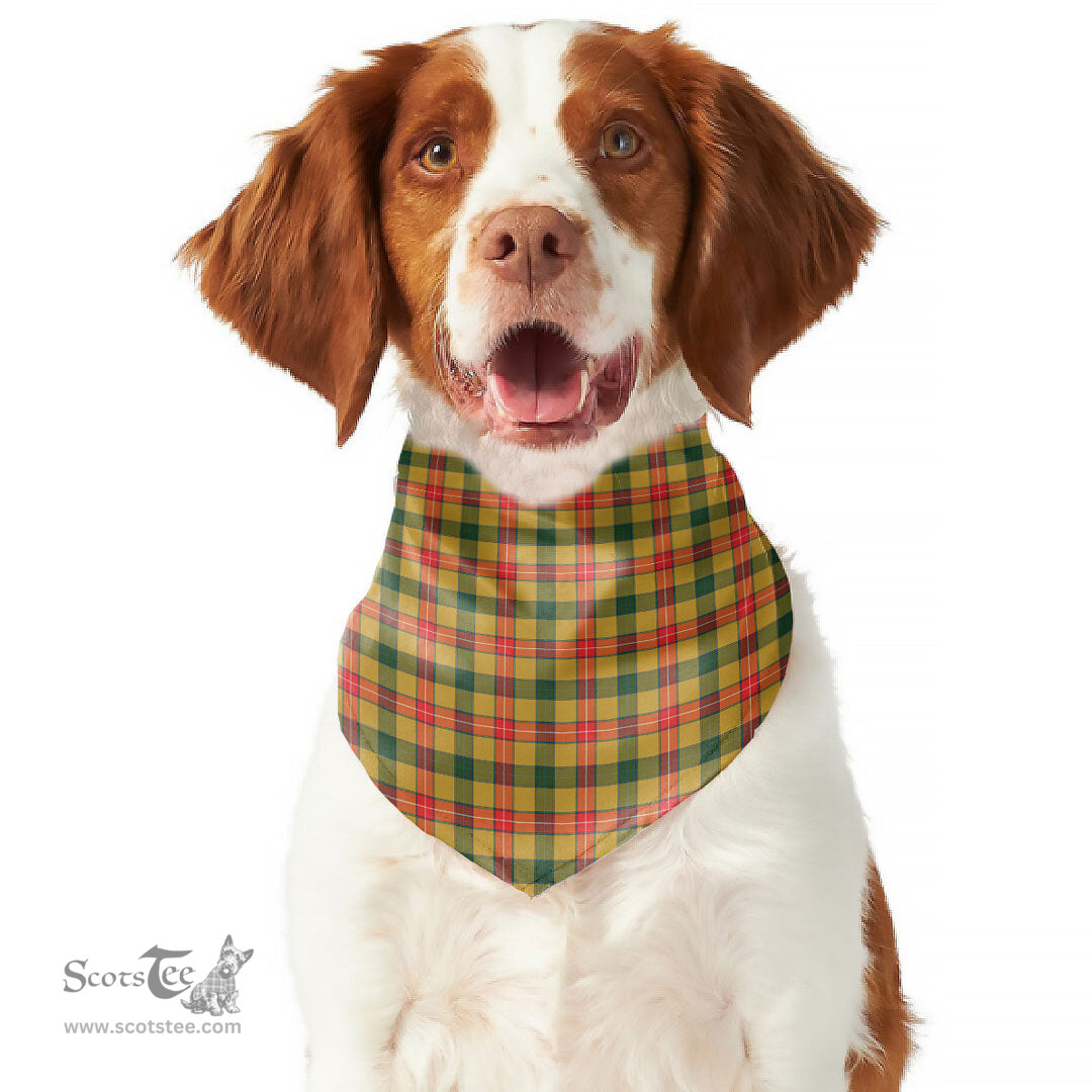 Scottish Baxter Clan Tartan Pets Scarf Pet Dog Bandana