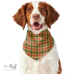 Scottish Baxter Clan Tartan Pets Scarf Pet Dog Bandana