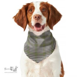 Scottish Burns Check Clan Tartan Pets Scarf Pet Dog Bandana