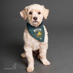 Scottish Campbell Ancient 02 Clan Crest Tartan Pets Scarf Pet Dog Bandana