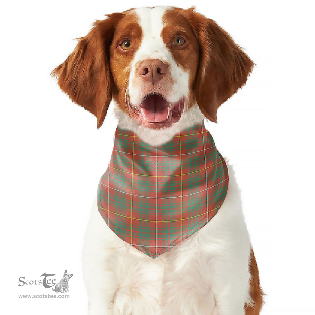 Scottish Bruce Ancient Clan Tartan Pets Scarf Pet Dog Bandana