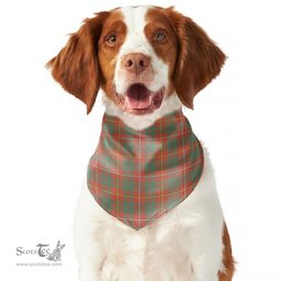 Scottish Bruce Ancient Clan Tartan Pets Scarf Pet Dog Bandana