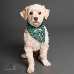 Scottish Gunn Ancient Clan Crest Tartan Pets Scarf Pet Dog Bandana