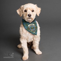 Scottish Davidson Ancient Clan Crest Tartan Pets Scarf Pet Dog Bandana