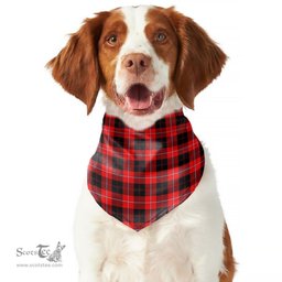 Scottish Cunningham Modern Clan Tartan Pets Scarf Pet Dog Bandana
