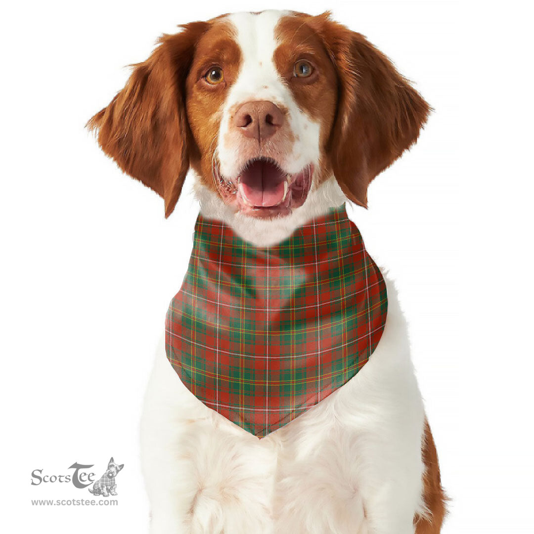 Scottish Hay Ancient Clan Tartan Pets Scarf Pet Dog Bandana