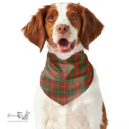 Scottish Hay Ancient Clan Tartan Pets Scarf Pet Dog Bandana