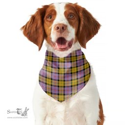 Scottish Culloden Ancient Clan Tartan Pets Scarf Pet Dog Bandana