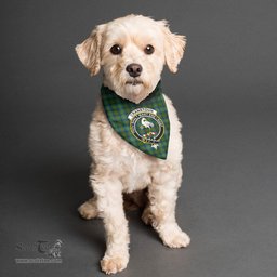 Scottish Cranstoun Clan Crest Tartan Pets Scarf Pet Dog Bandana