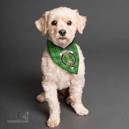Scottish Galloway District Clan Crest Tartan Pets Scarf Pet Dog Bandana