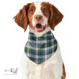 Scottish Gordon Dress Ancient Clan Tartan Pets Scarf Pet Dog Bandana