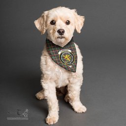 Scottish Cumming Hunting Ancient Clan Crest Tartan Pets Scarf Pet Dog Bandana