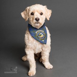 Scottish Edmonstone Clan Crest Tartan Pets Scarf Pet Dog Bandana