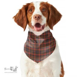 Scottish Cumming Hunting Weathered Clan Tartan Pets Scarf Pet Dog Bandana