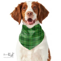 Scottish Galloway District Clan Tartan Pets Scarf Pet Dog Bandana